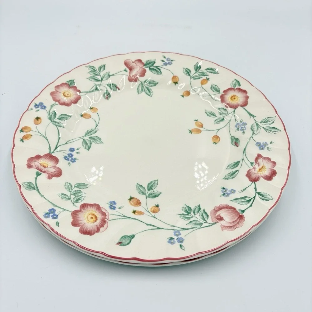 Churchill Staffordshire‎ Set of 2 Briar Rose Ironstone Floral 10
